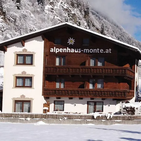 Pensjonat Alpenhaus Monte 3*