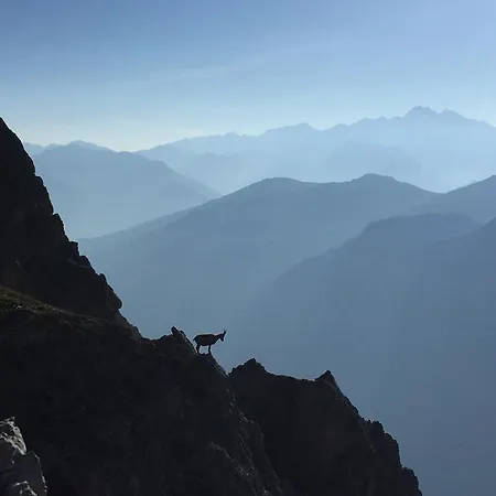 Alpenhaus Monte