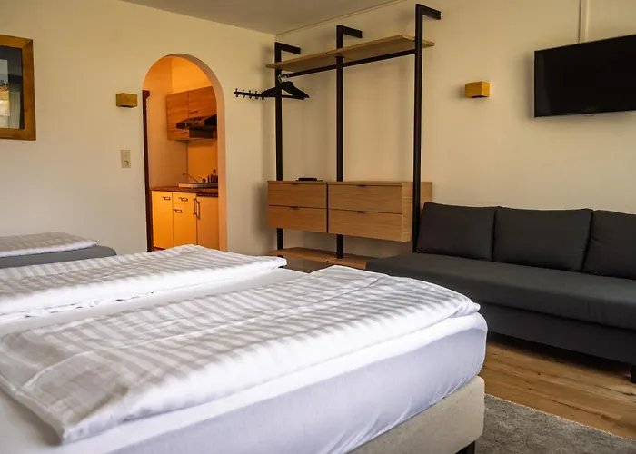 Pensjonat Alpenhaus Monte 3*