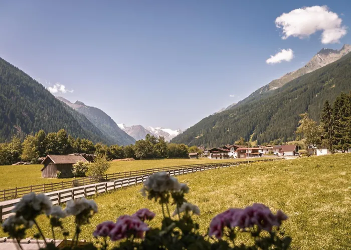 Pensjonat Alpenhaus Monte 3*
