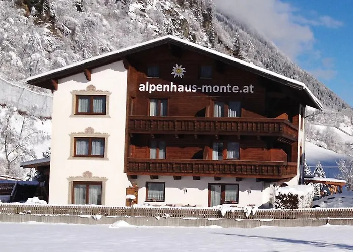 Pensjonat Alpenhaus Monte 3*